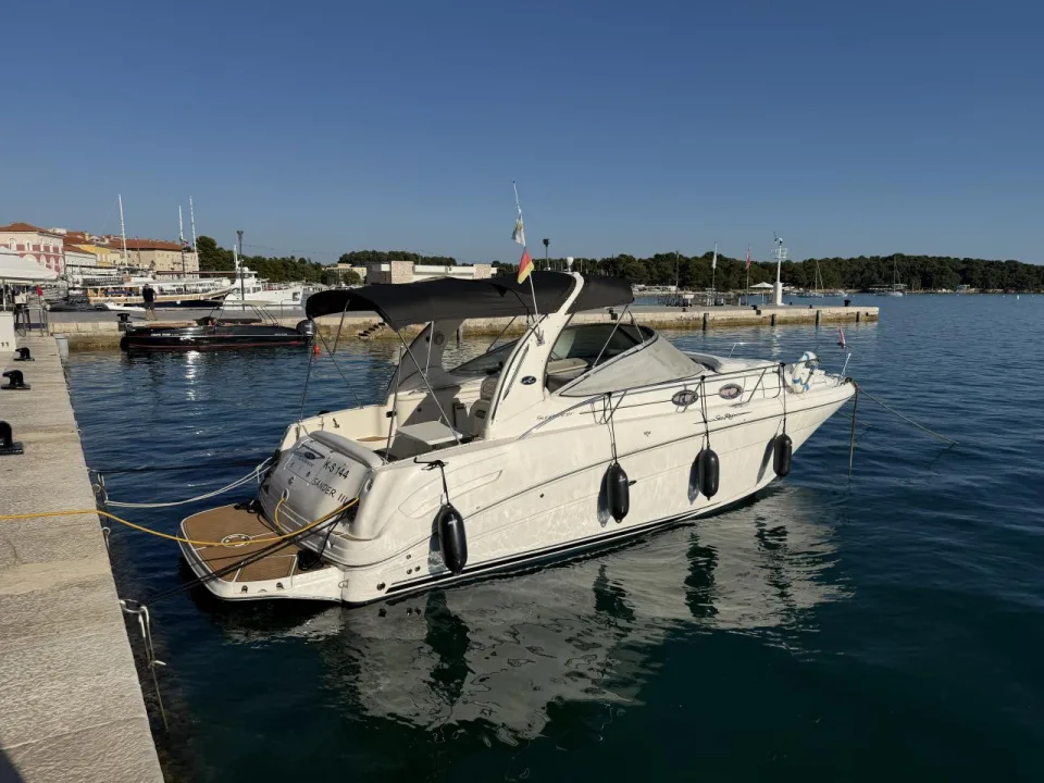 Sea Ray 335 Sundancer gebraucht - Foto 1