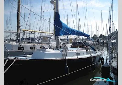 Rustler 31 usato - foto 1