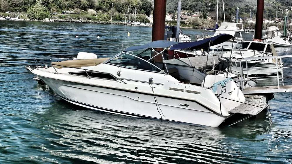 Sea Ray 240 gebraucht - Foto 1