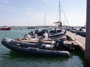 Tiger Marine Dive Master 520 gebraucht - Foto 1