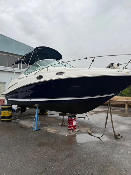 Sea Ray Sundancer 245 gebraucht - Foto 1