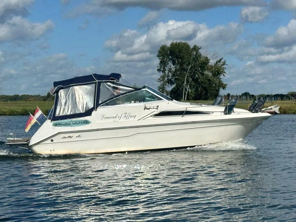Sea Ray 220DA gebraucht - Foto 1