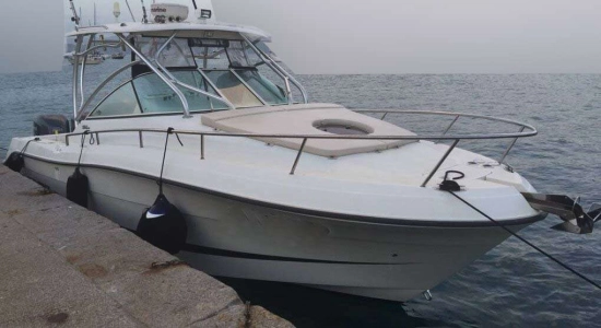 Hydra Sports SPORT 2900 VECTOR VX used - photo 1