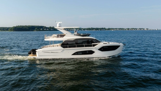 Absolute 60 fly used - photo 1
