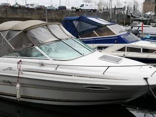 Sea Ray 215 Express gebraucht - Foto 1