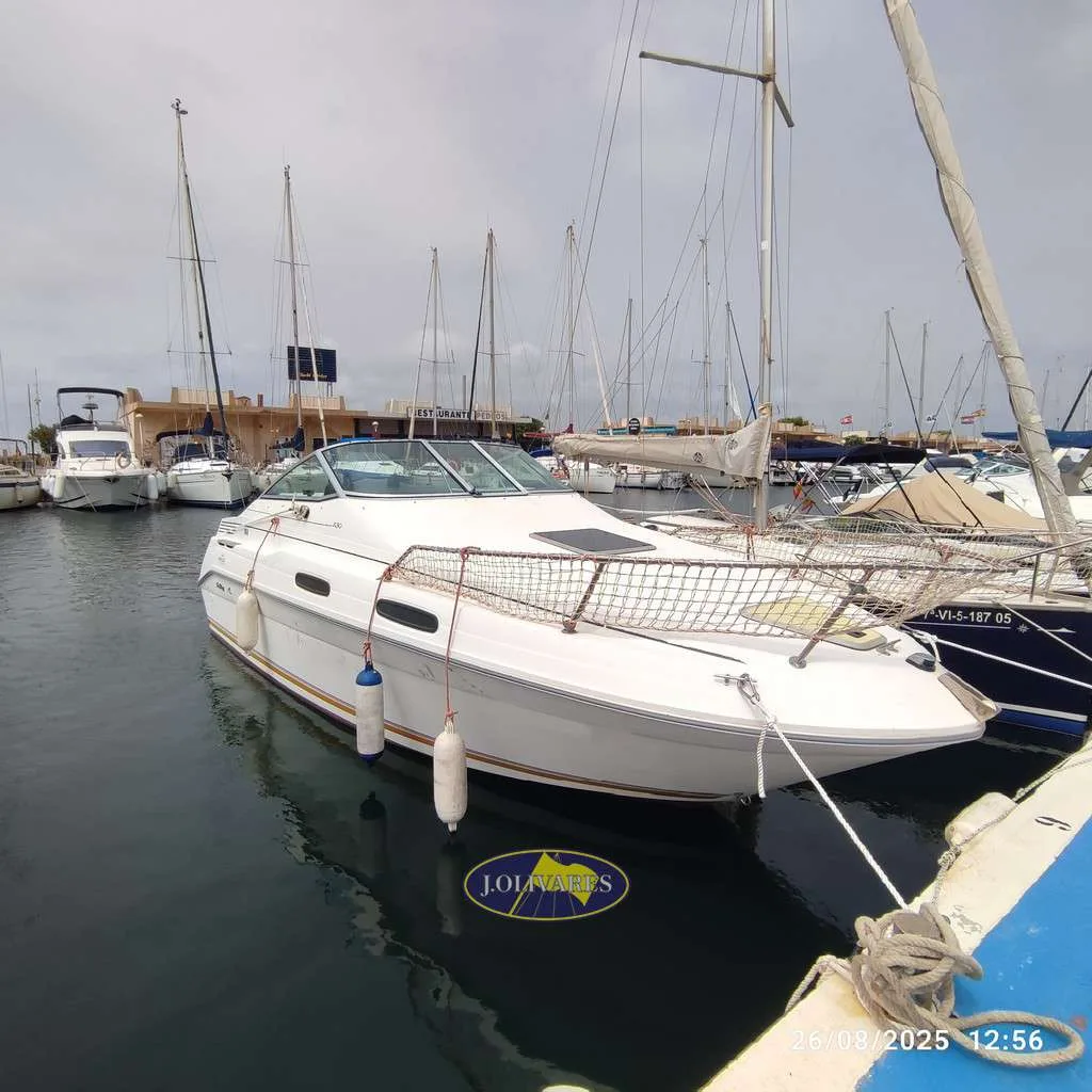 Sea Ray SUNDANCER 230 gebraucht - Foto 1