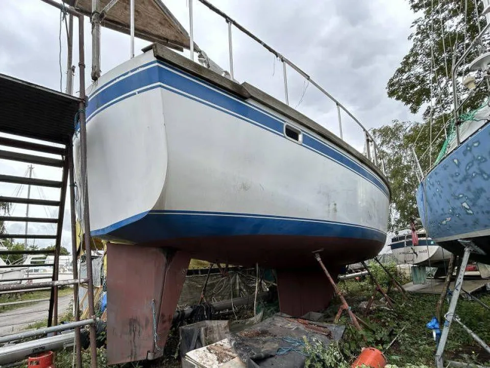 Bruce Roberts 434D used - photo 1