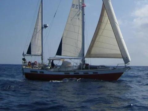 Wauquiez Amphitrite usato - foto 1