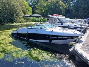 Regal 2250 Cuddy Cabin gebraucht - Foto 1