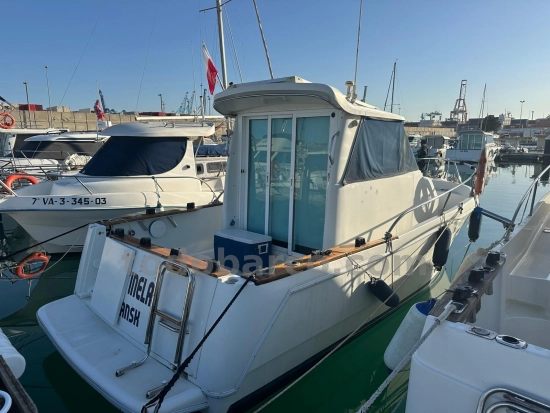 Starfisher 760 Walkaround usato - foto 1