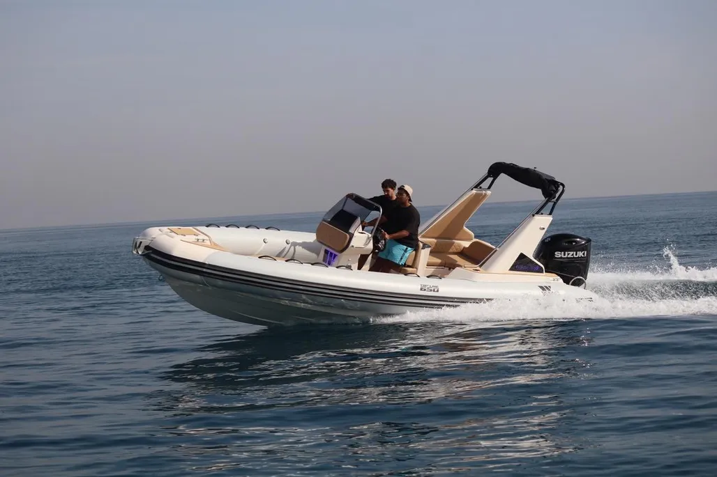 Tiger Marine 650 Top Line d'occasion - photo 1