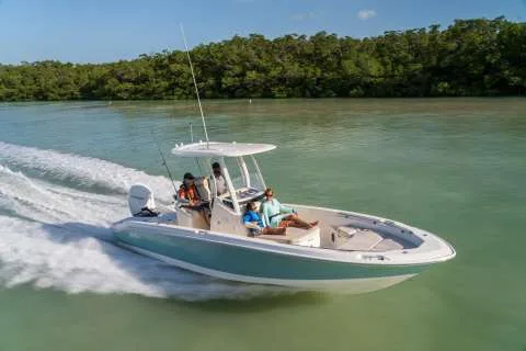 Boston Whaler 250 Dauntless used - photo 1