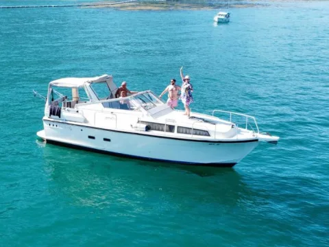 Cytra SG 31 Skipper gebraucht - Foto 1