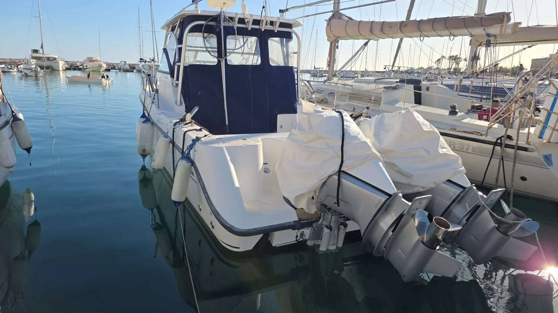 Boston Whaler CONQUEST 305 usato - foto 1