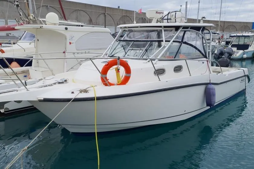 Boston Whaler 305 Conquest usato - foto 1