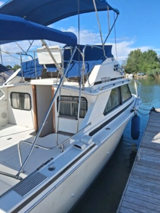 Bertram 28 Cruiser used - photo 1