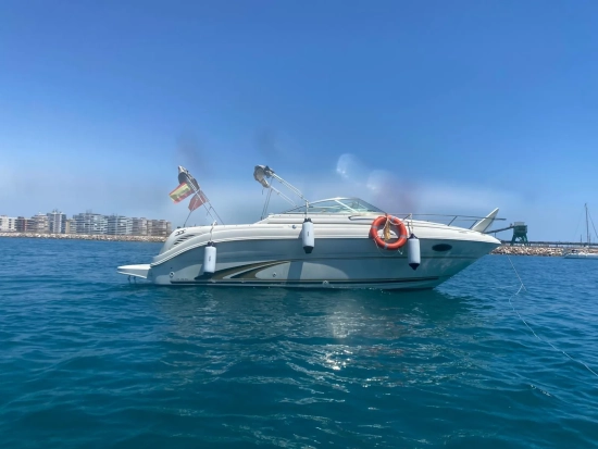 Sea Ray 245 Weekender usato - foto 1