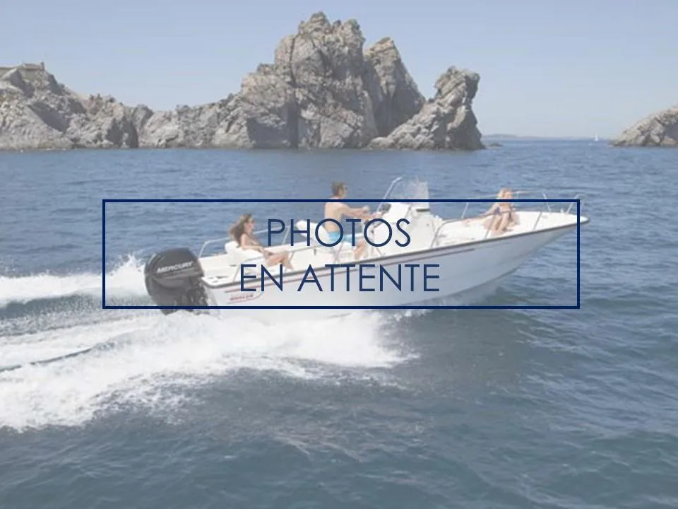 Boston Whaler 210 montauk used - photo 1