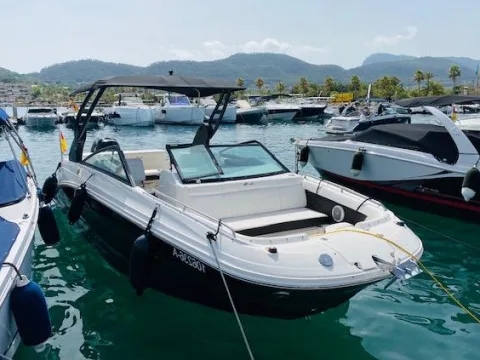 Sea Ray SDX 250 gebraucht - Foto 1