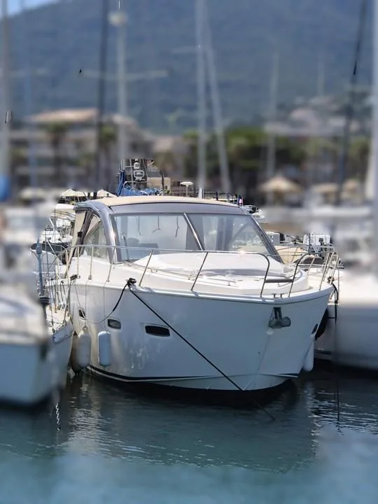 Sealine Sc 35 usato - foto 1