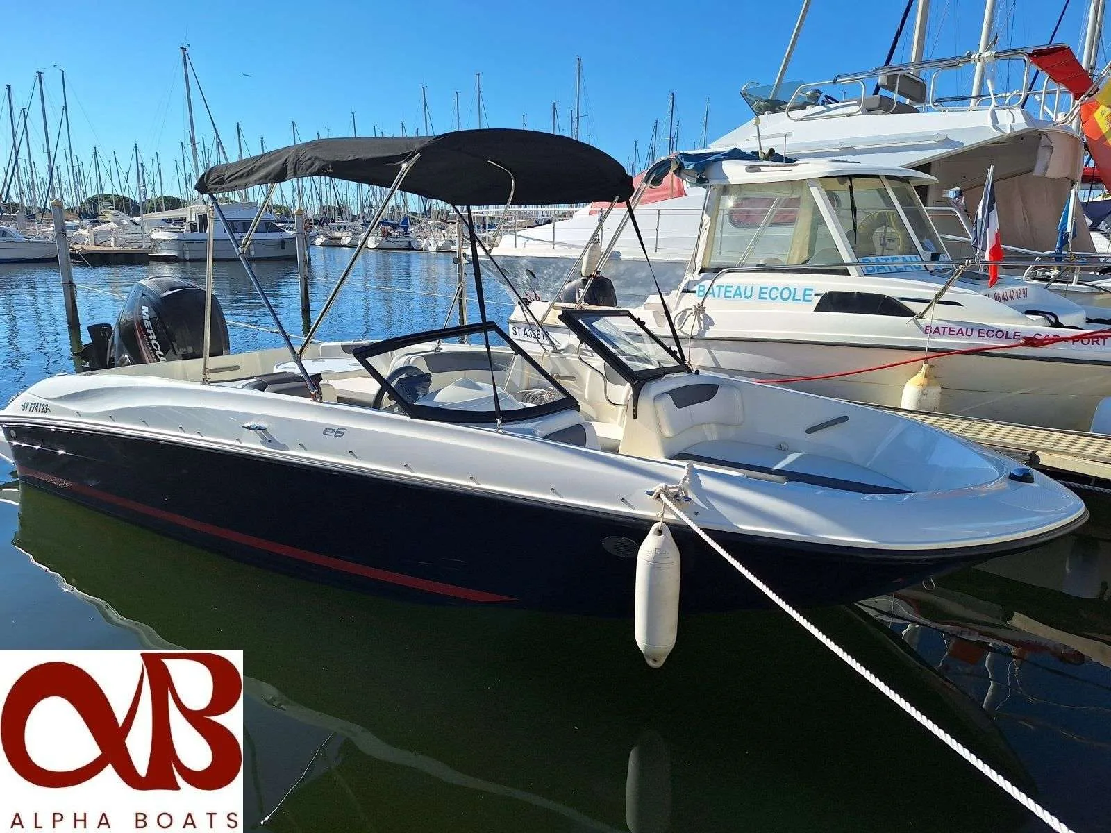 Bayliner ELEMENT E6 used - photo 1
