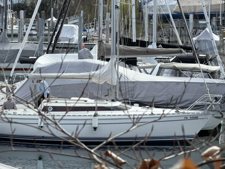 Jeanneau Attalia 32 used - photo 1