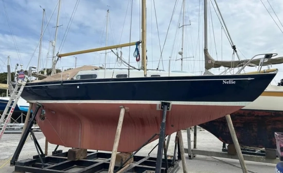 Contessa 26 used - photo 1