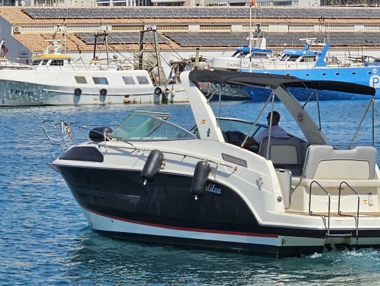 Bayliner 2855 Ciera gebraucht - Foto 1