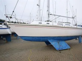 Westerly Griffon gebraucht - Foto 1