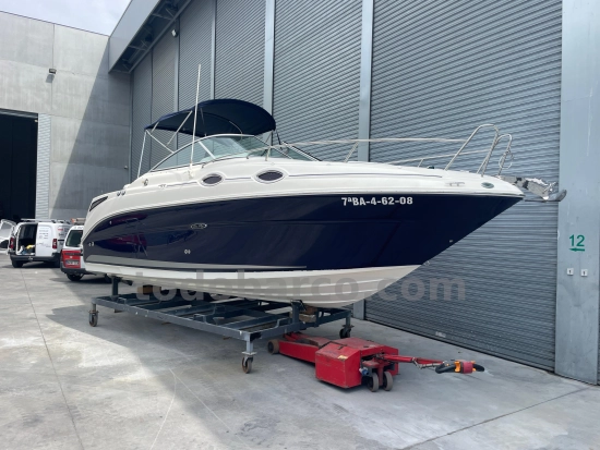 Sea Ray Sundancer 255 gebraucht - Foto 1