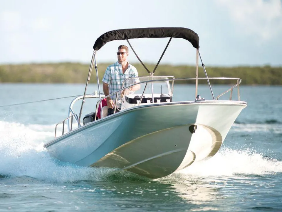 Boston Whaler 170 Montauk used - photo 1