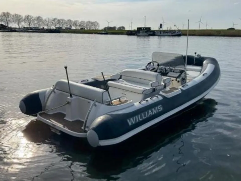 Williams Dieseljet 565 d'occasion - photo 1