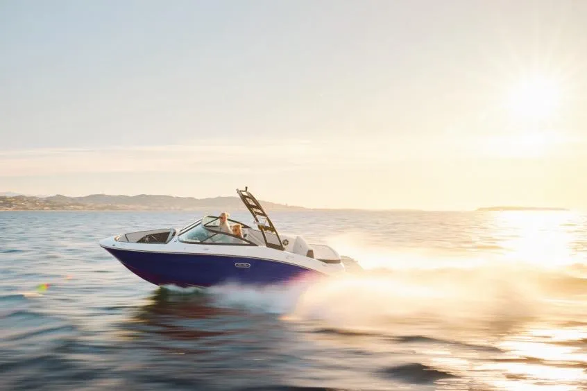 Sea Ray SPX 210 usato - foto 1