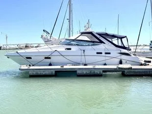 Sealine S42 usato - foto 1