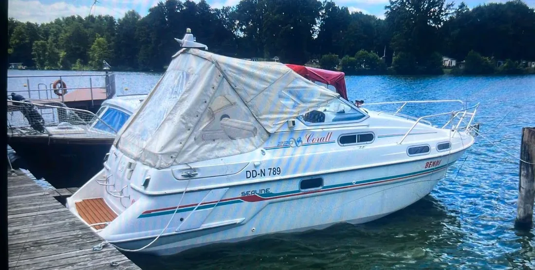 Sealine 220 Coral usato - foto 1