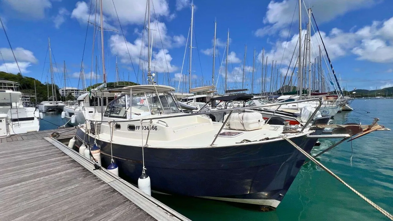 Rhéa Marine 850 Open usato - foto 1