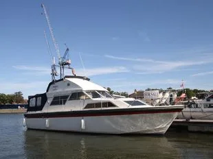 Fairline Sedan 32 Flybridge – Phoenix used - photo 1