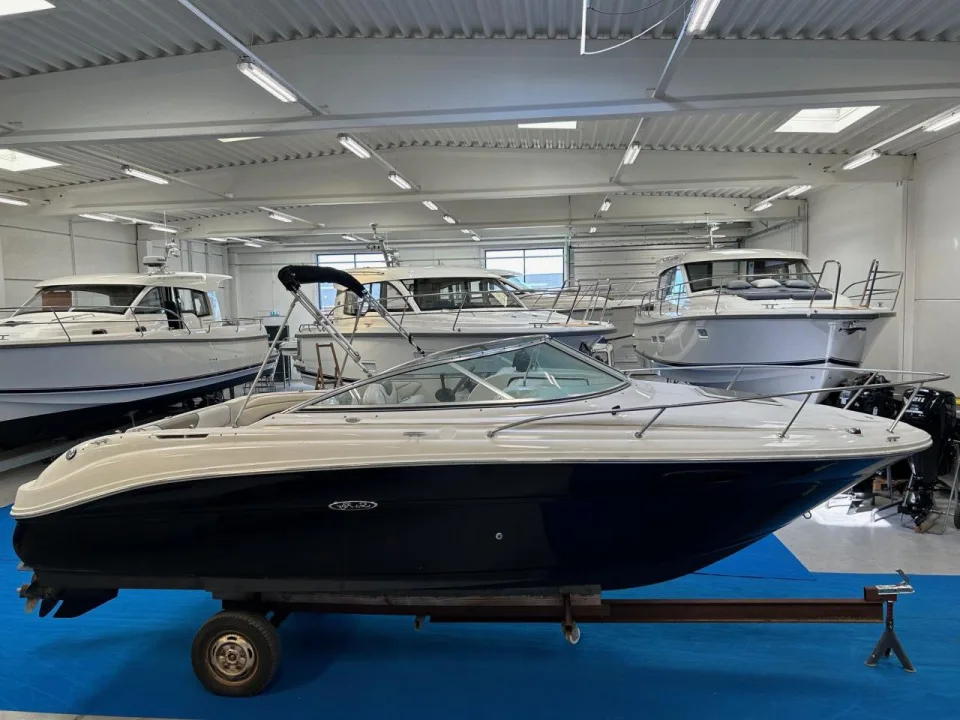 Sea Ray 225 Weekender gebraucht - Foto 1
