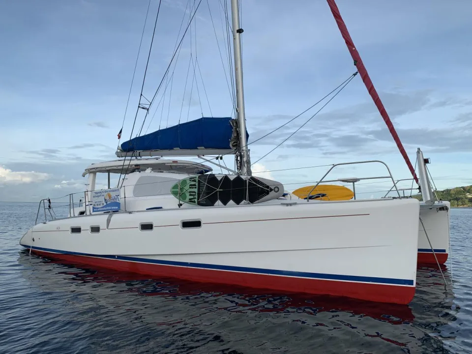 Robertsoncaine Leopard 43 used - photo 1