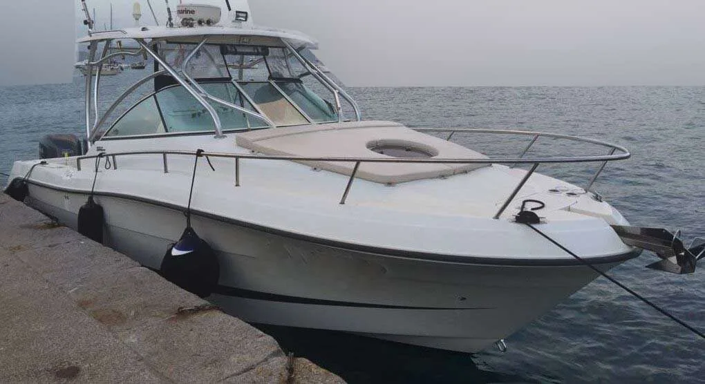 Hydra-Sports 2900 Vector VX used - photo 1