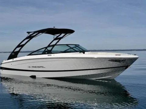 Regal LS2 gebraucht - Foto 1