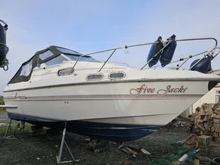 Sealine 255 Senator usato - foto 1