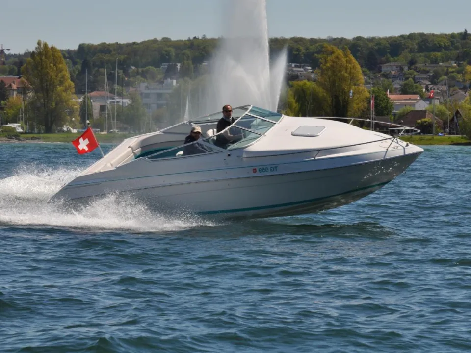 Chris-Craft 238 Concept usato - foto 1