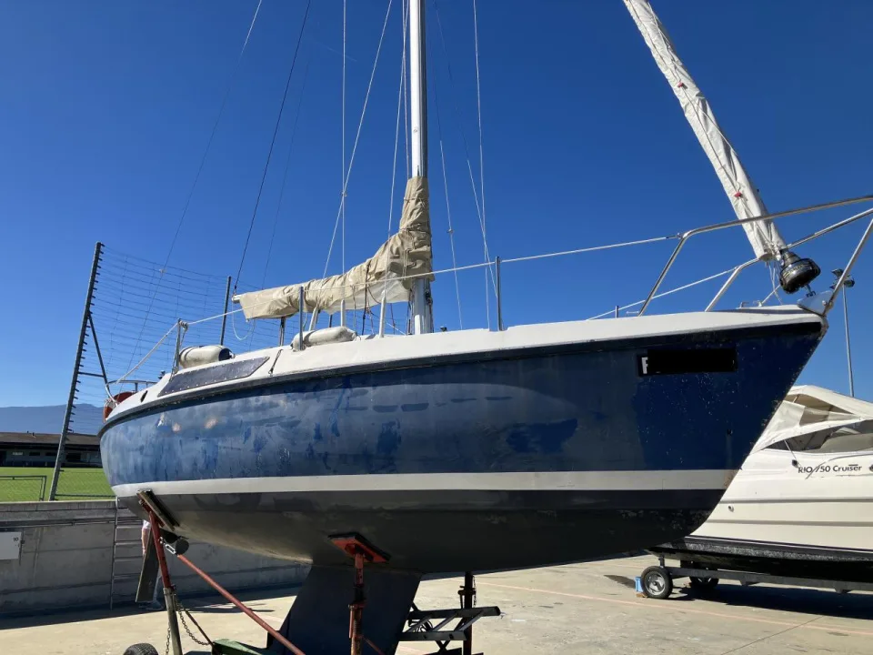 Jeanneau Daysailer Brio Q used - photo 1