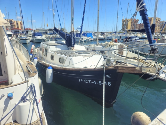 Myabca Delfin 28 used - photo 1