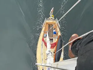 Carter 33, beautiful finish, 7 berths used - photo 1
