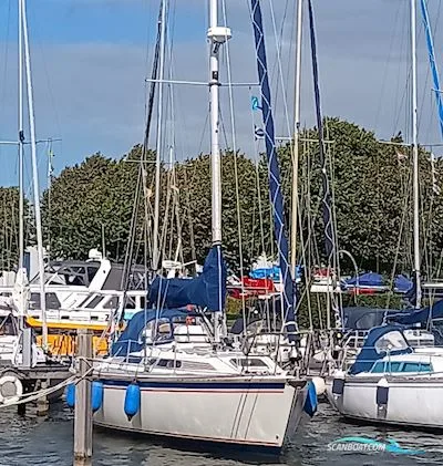 Westerly Typhoon 37 gebraucht - Foto 1