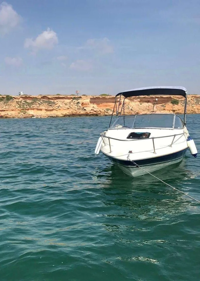 Bayliner 2052 Capri Cuddy gebraucht - Foto 1