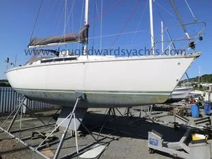 Jeanneau Sun Light 31 usato - foto 1
