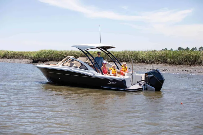 Scout 240 Dorado